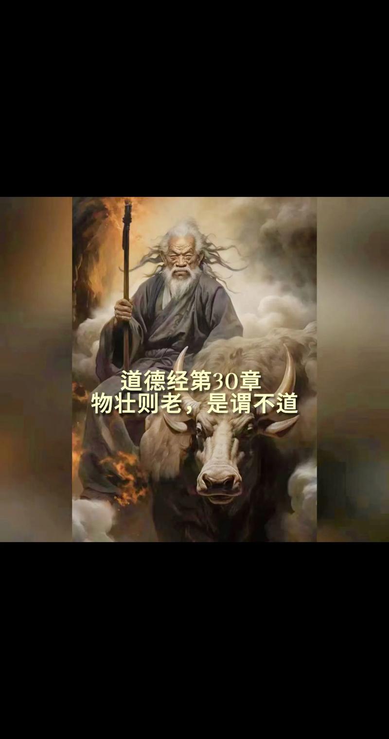 老道爷官网